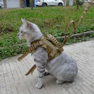 600D Cat Tactical Vest Pet Chest Strap Vest Type Puppy Cat Training Clothing Small Dog Vest